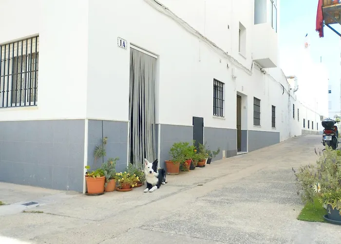 Apartamento Anita Conil